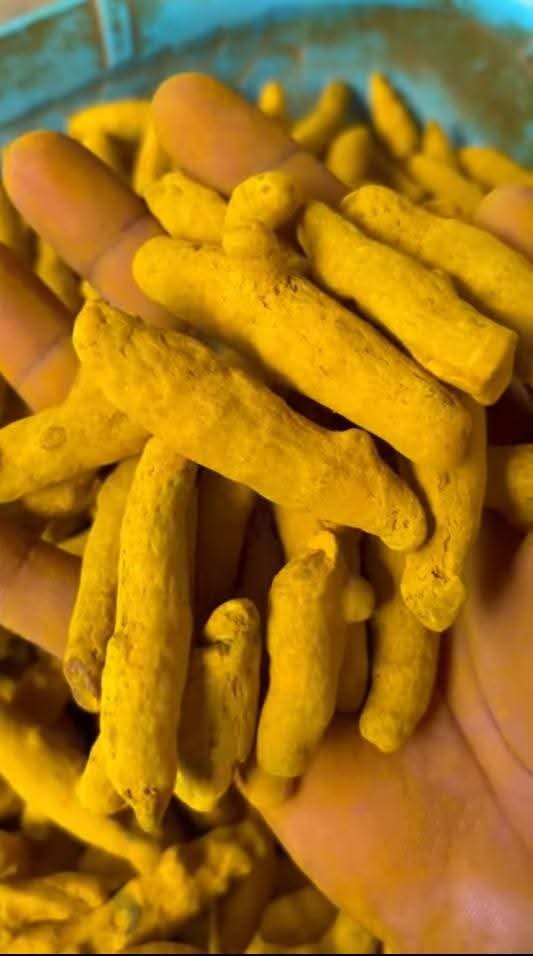 Turmeric Fingers and Powder